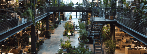 Hvordan den grønne industrien tiltrekker seg fremtidens arbeidere